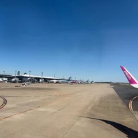 画像256